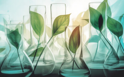 Why might some people be opposed to the use of biotechnology?
